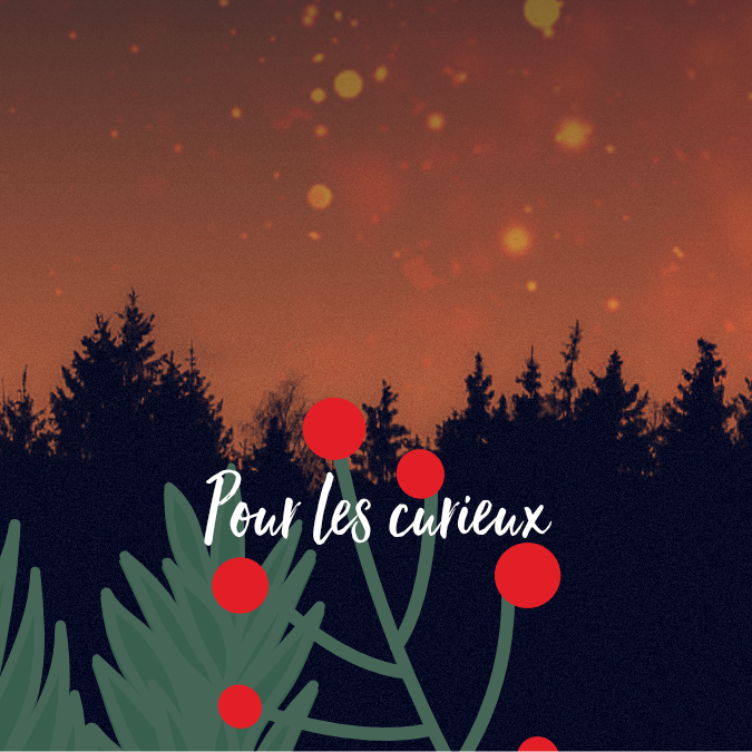 sous-categories-noel-4